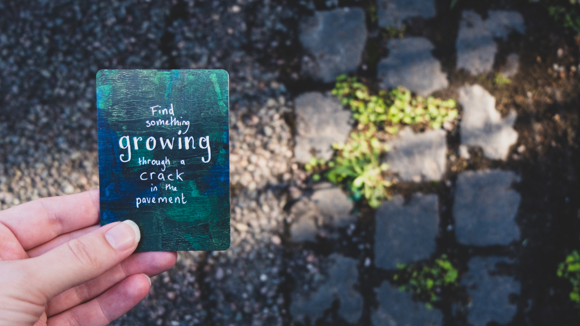 A close up image of a hand holding a card that says 'Find something growing through a crack in the pavement'.
