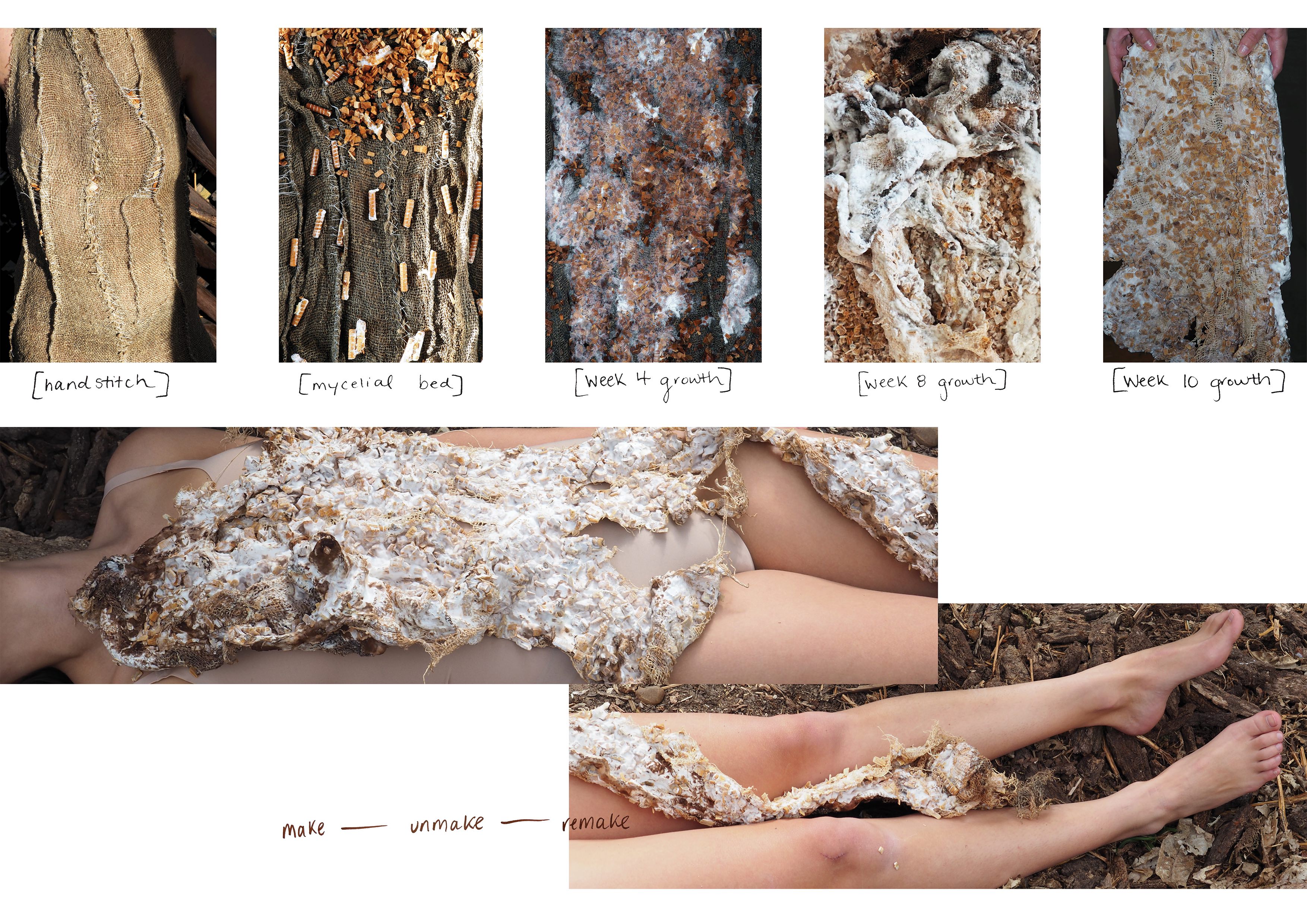 Graduate Collection from The Royal College of Art