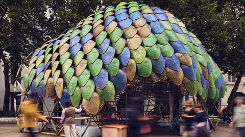 The Pangolin Shield 