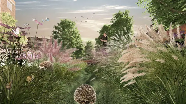 Urban Living Library - Reclaiming the Hedgehog Habitat