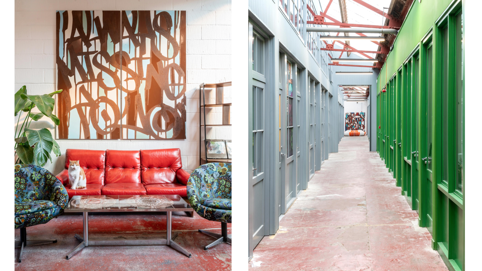 Image shows the building foyer with a cat sitting on a retro red sofa with plants at either side and graphic artwork behind 