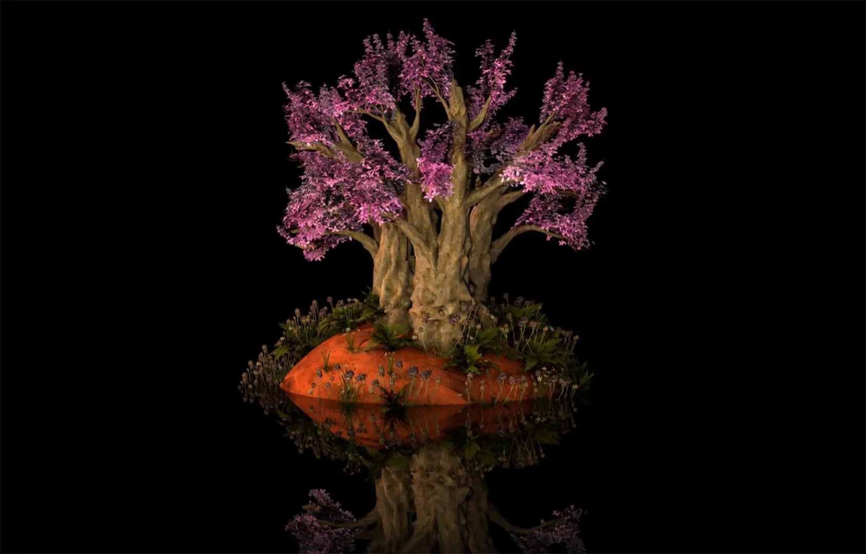 A tree with pink blossom centred on a black backdrop.