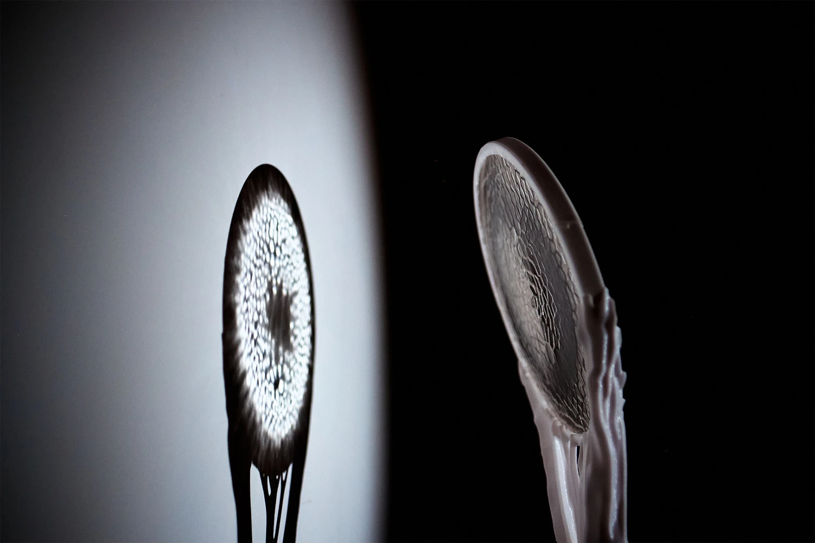A lens creates a pointillist drawing out of light