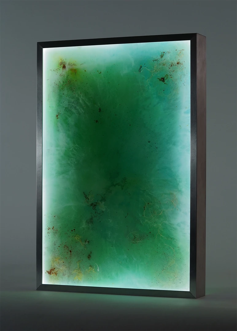 Biomatter collected from a river, appears as if the river is frozen in time