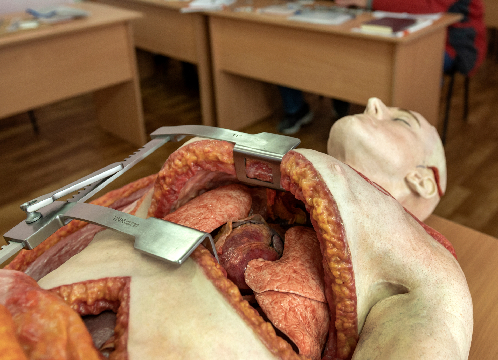 Heston®, our anatomically accurate silicon model designed to simulate complex trauma scenarios