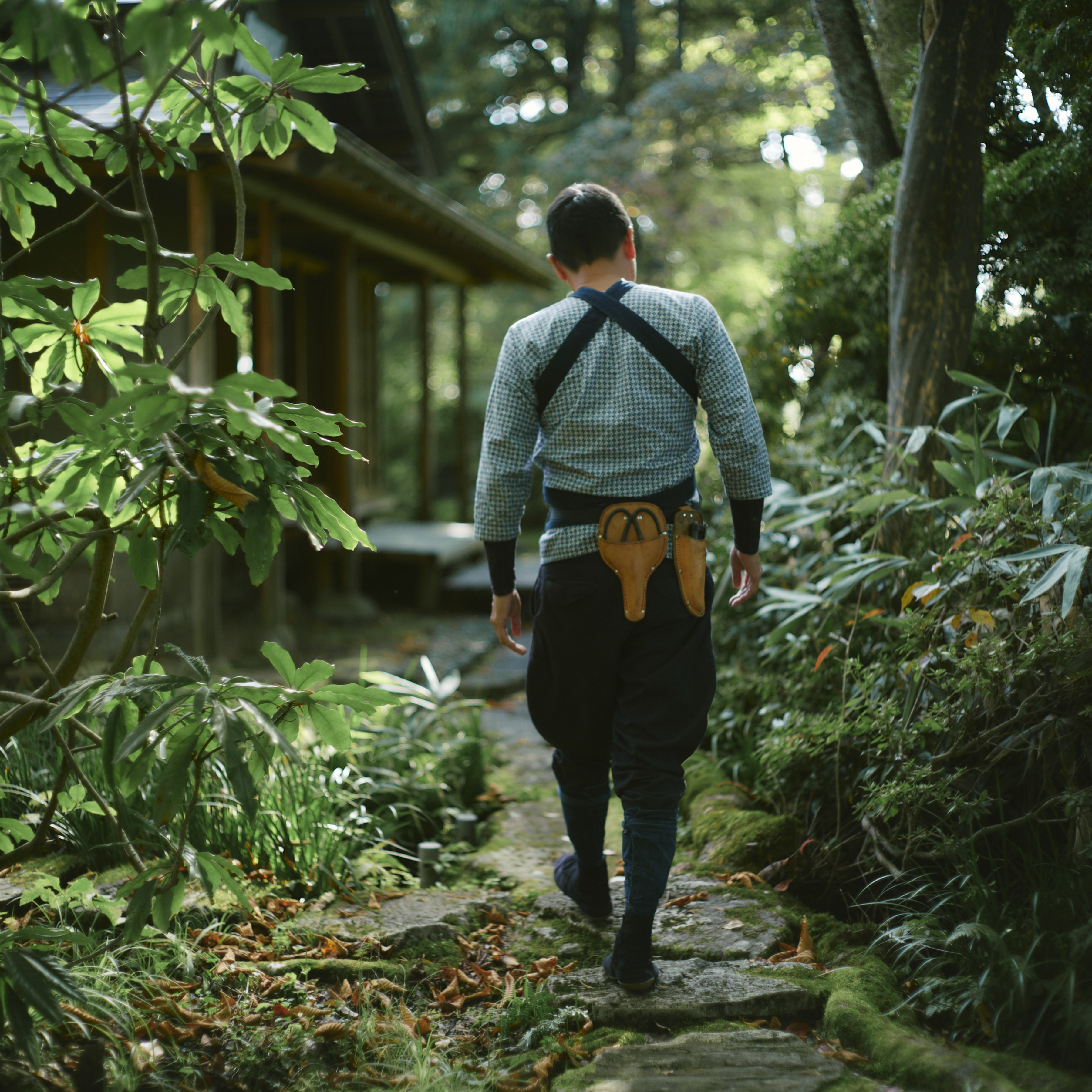 He works as an Arborist.  Climate change calls for different approaches.