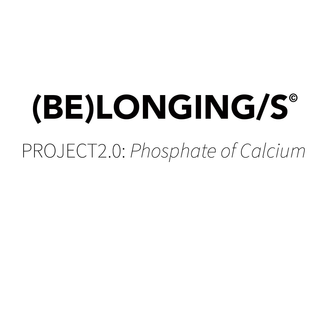 (BE)LONGING/S PROJECT