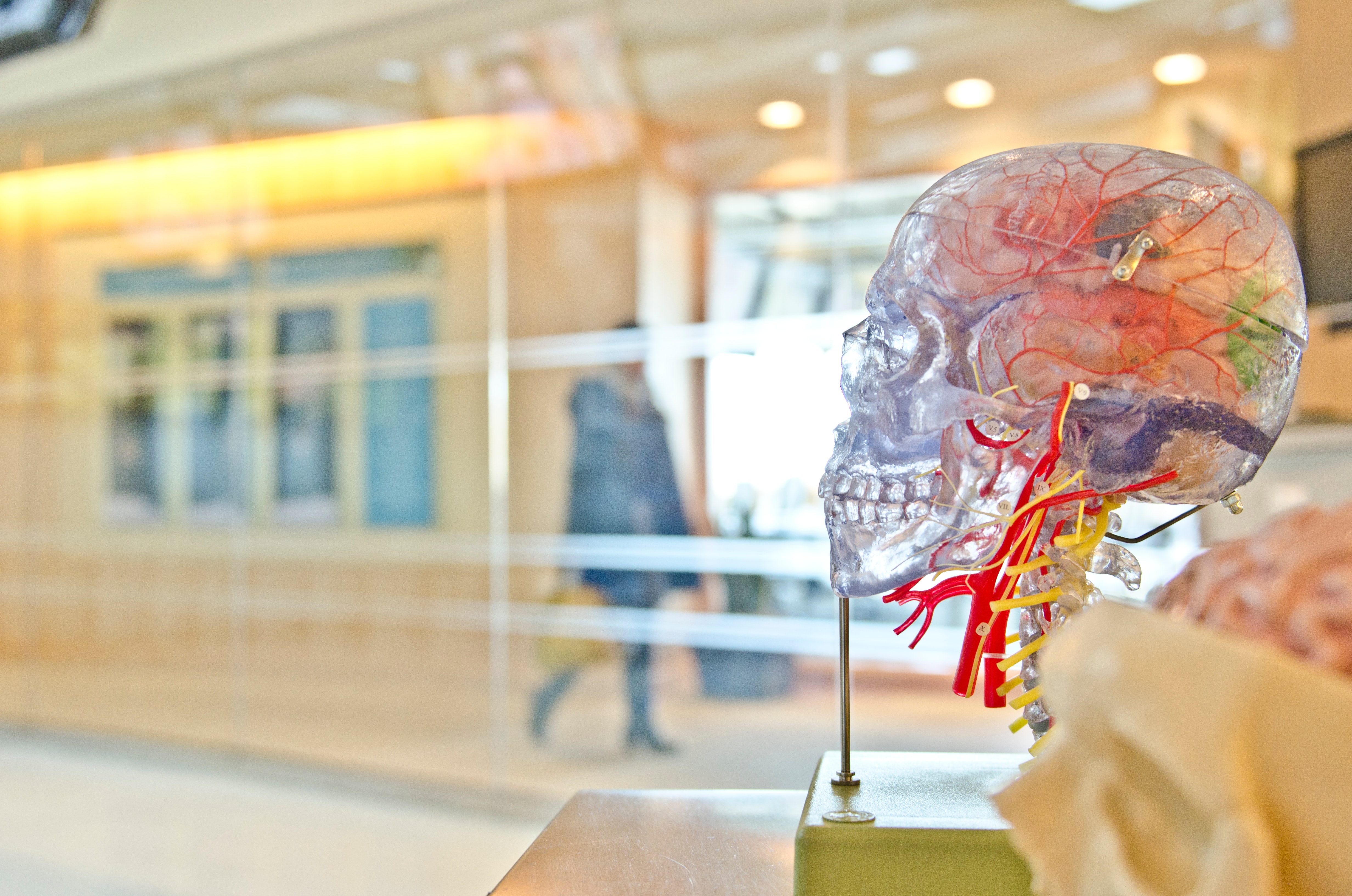 Design for all – creating a safe space for the neuro-diverse and dementia patients